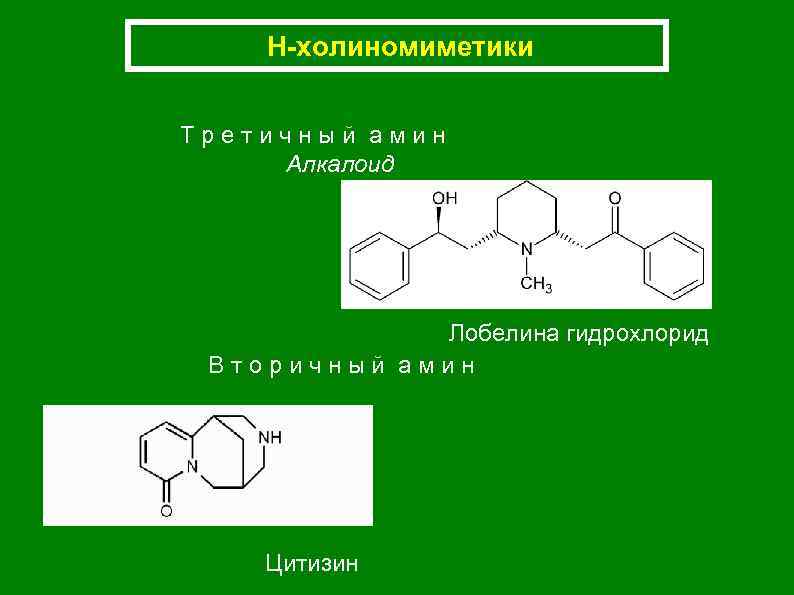 Н-холиномиметики Третичный амин Алкалоид Лобелина гидрохлорид Вторичный амин Цитизин 