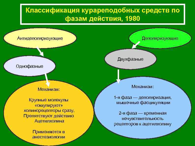 Классификация курареподобных средств по фазам действия, 1980 Антидеполяризующие Двухфазные Однофазные Механизм: Крупные молекулы «оккупируют»