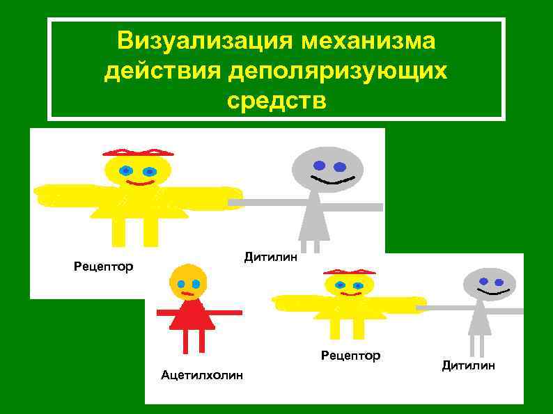 Визуализация механизма действия деполяризующих средств Дитилин Рецептор Ацетилхолин Дитилин 