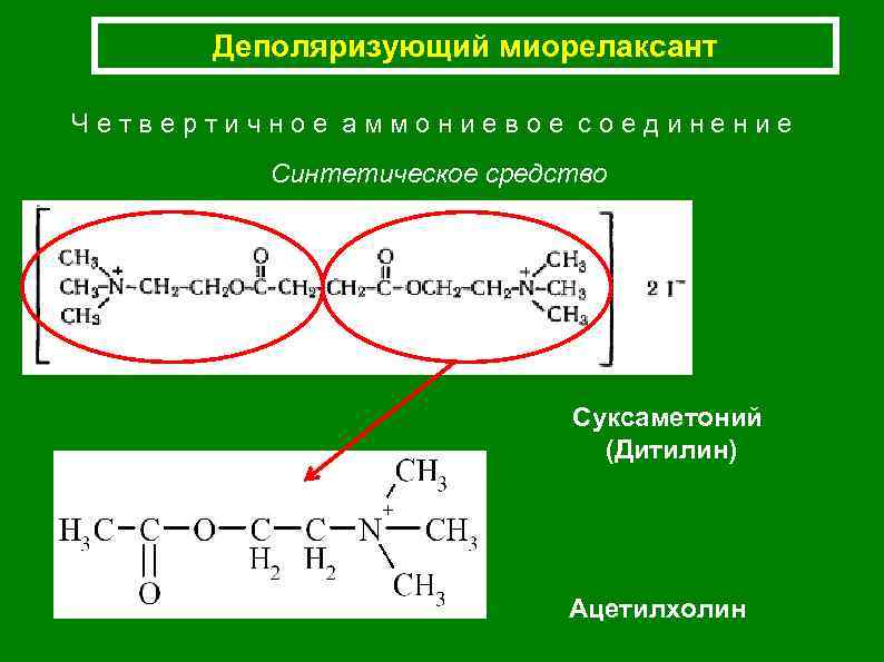 Деполяризующий миорелаксант Четвертичное аммониевое соединение Синтетическое средство Суксаметоний (Дитилин) Ацетилхолин 