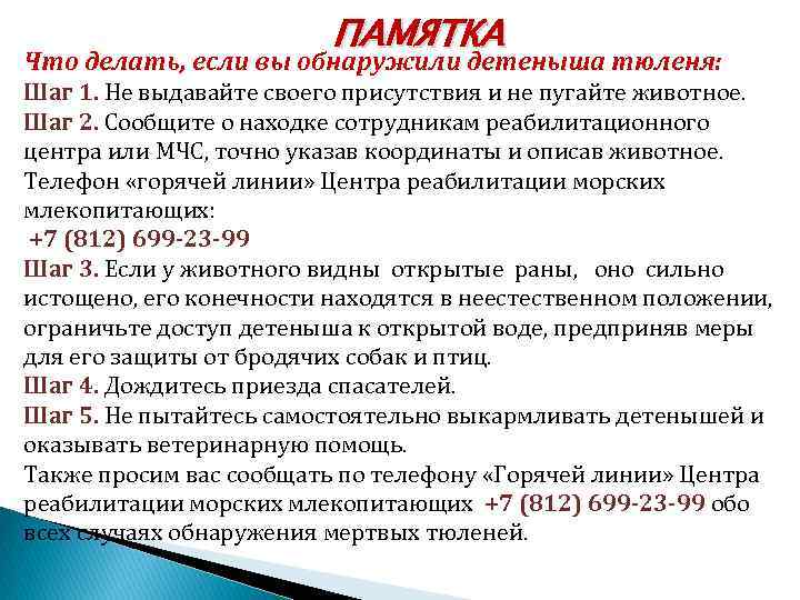 ПАМЯТКА Что делать, если вы обнаружили детеныша тюленя: Шаг 1. Не выдавайте своего присутствия
