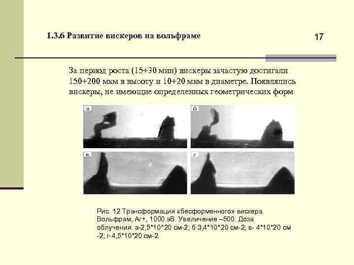 1. 3. 6 Развитие вискеров на вольфраме За период роста (15÷ 30 мин) вискеры