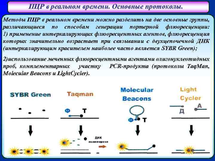 ПЦР в реальном времени. Основные протоколы. Методы ПЦР в реальном времени можно разделить на