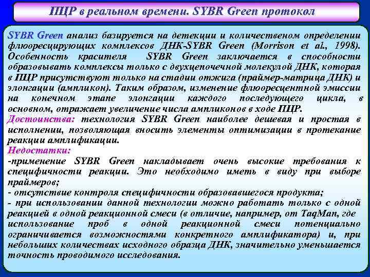 ПЦР в реальном времени. SYBR Green протокол SYBR Green анализ базируется на детекции и