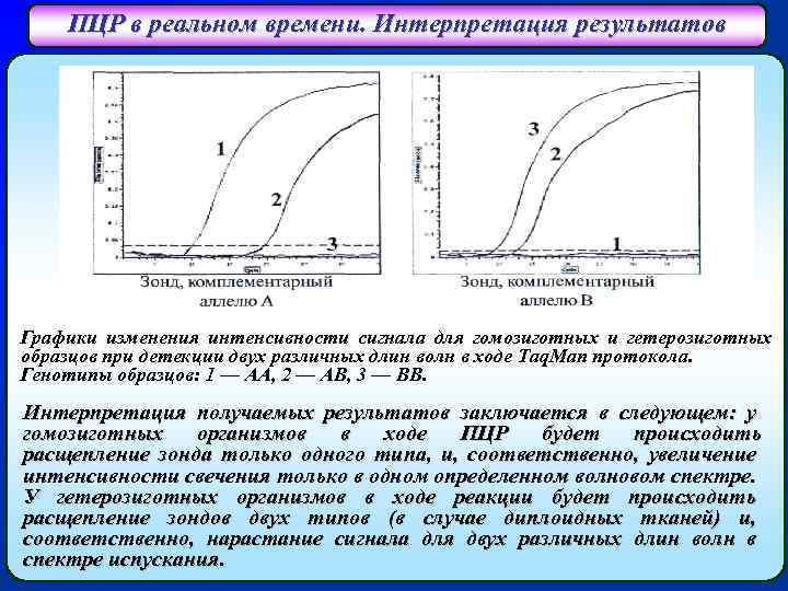 ПЦР в реальном времени. Интерпретация результатов Графики изменения интенсивности сигнала для гомозиготных и гетерозиготных