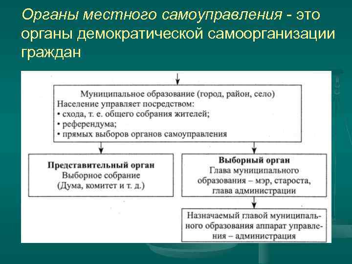 Органы местного самоуправления - это органы демократической самоорганизации граждан 