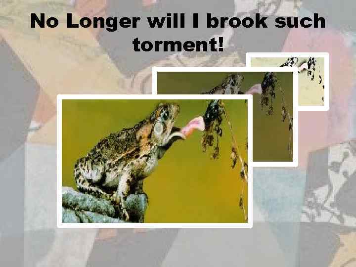 No Longer will I brook such torment! 