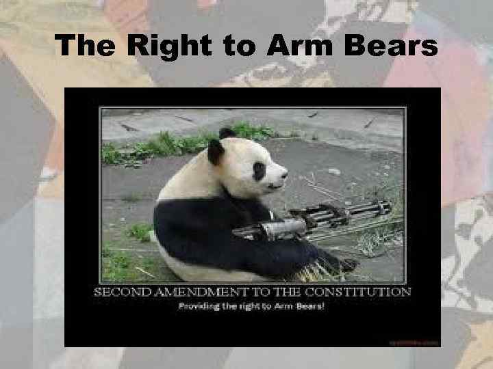 The Right to Arm Bears 
