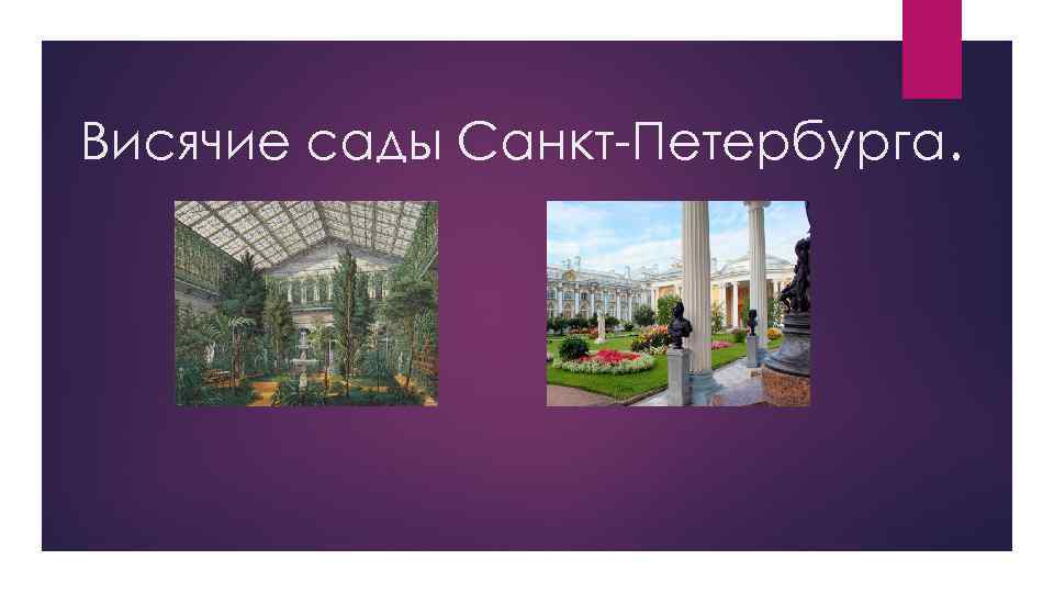 Висячие сады Санкт-Петербурга. 