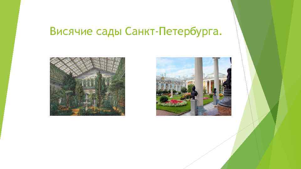 Висячие сады Санкт-Петербурга. 