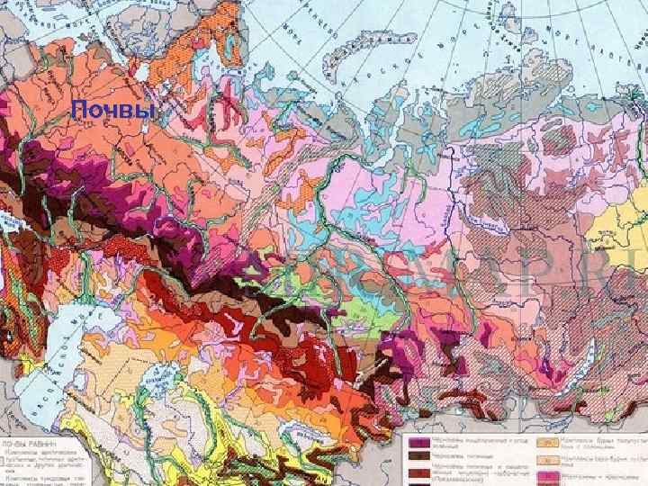 Почвы 