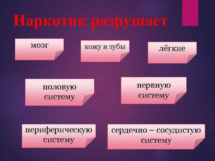 Наркотик разрушает мозг кожу и зубы лёгкие половую систему нервную систему периферическую систему сердечно