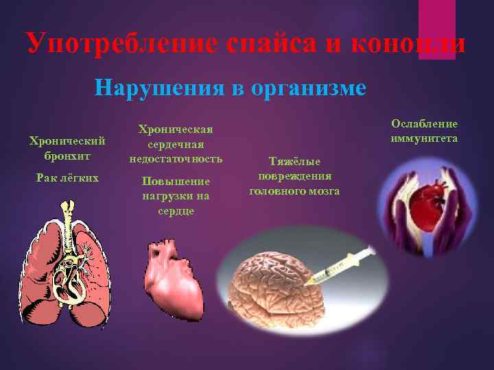 Употребление спайса и конопли Нарушения в организме Хронический бронхит Рак лёгких Хроническая сердечная недостаточность