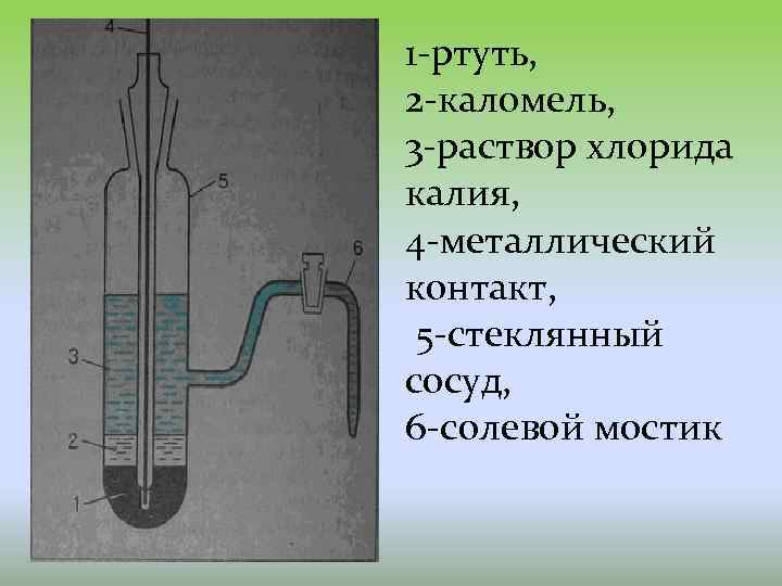1 -ртуть, 2 -каломель, 3 -раствор хлорида калия, 4 -металлический контакт, 5 -стеклянный сосуд,