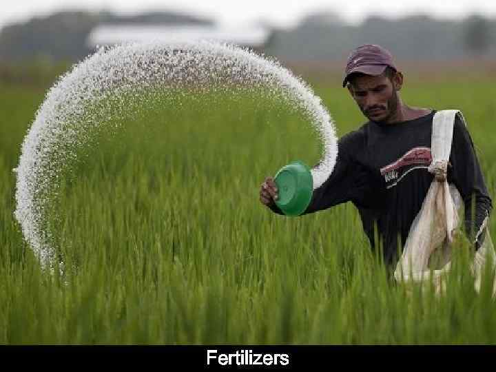 Fertilizers 