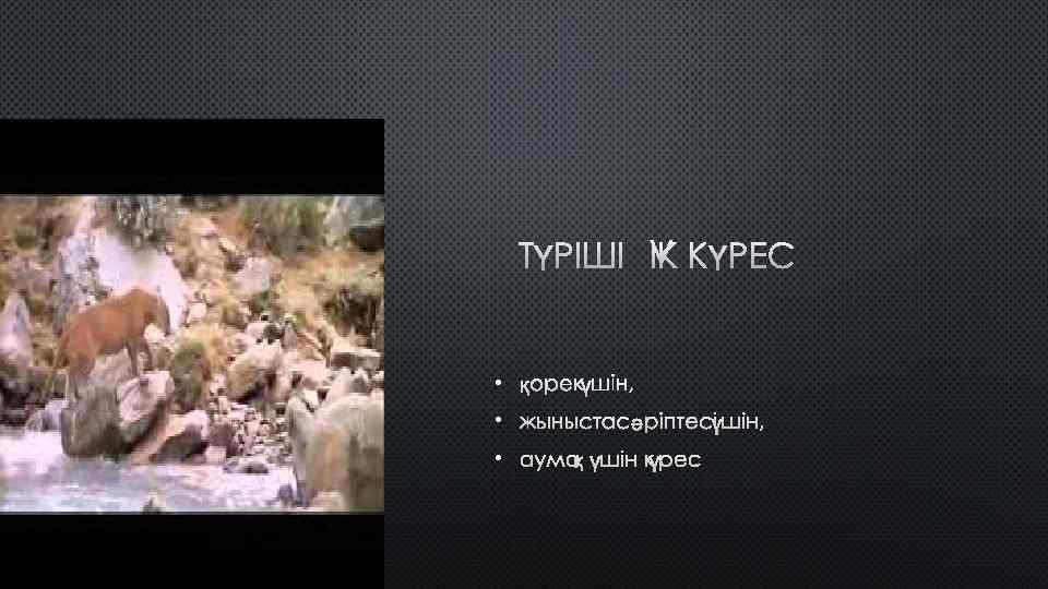 ТҮРІШІЛІК КҮРЕС • ҚОРЕК ҮШІН, • ЖЫНЫСТАС ӘРІПТЕСІ ҮШІН, • АУМАҚ ҮШІН КҮРЕС. 