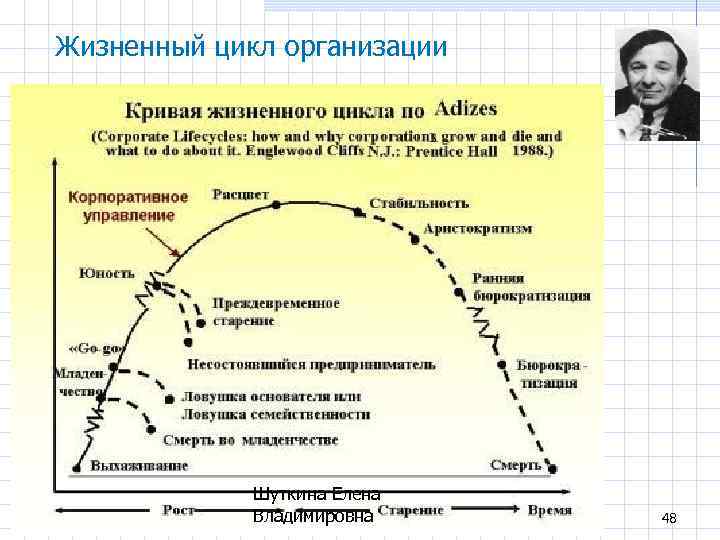 Жизненный цикл организации Шуткина Елена Владимировна 48 