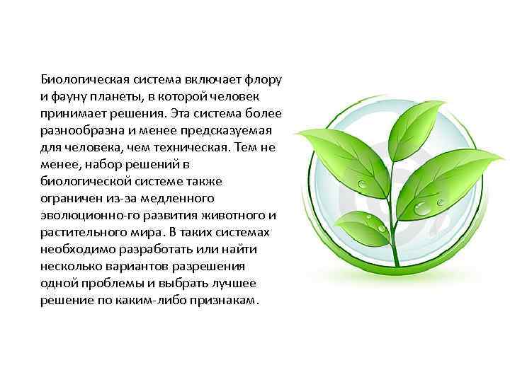 Биологическая система включает флору и фауну планеты, в которой человек принимает решения. Эта система