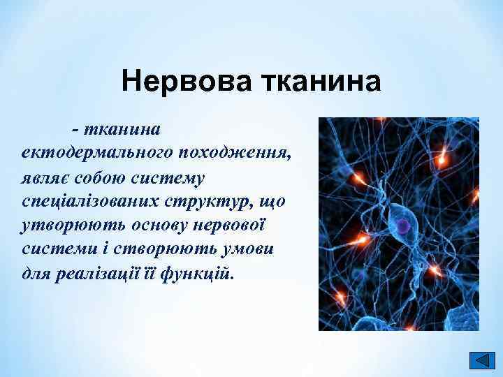 Нервова тканина - тканина ектодермального походження, являє собою систему спеціалізованих структур, що утворюють основу
