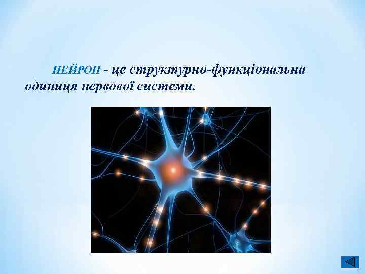 НЕЙРОН - це структурно-функціональна НЕЙРОН одиниця нервової системи. 
