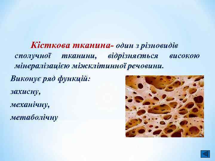 Кісткова тканина- один з різновидів тканина сполучної тканини, відрізняється високою мінералізацією міжклітинної речовини. Виконує