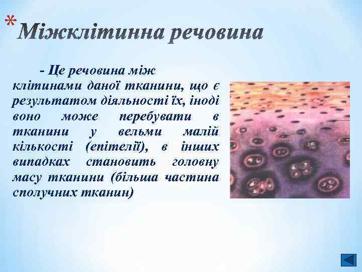 * Міжклітинна речовина - Це речовина між клітинами даної тканини, що є результатом діяльності