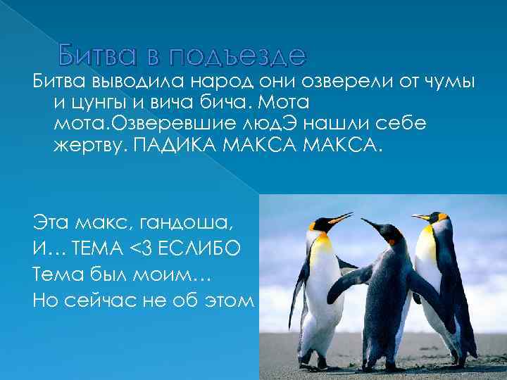 Битва в подъезде Битва выводила народ они озверели от чумы и цунгы и вича