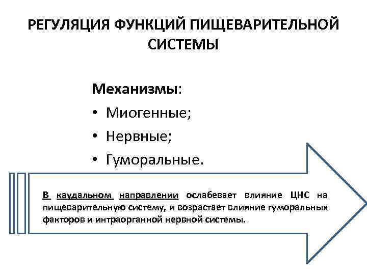 Пример регуляторной функции. Гуморальная регуляция пищеварительной системы. Регуляция физиологических функций. Миогенный механизм регуляции. 3 Уровня регуляции физиологических функций.