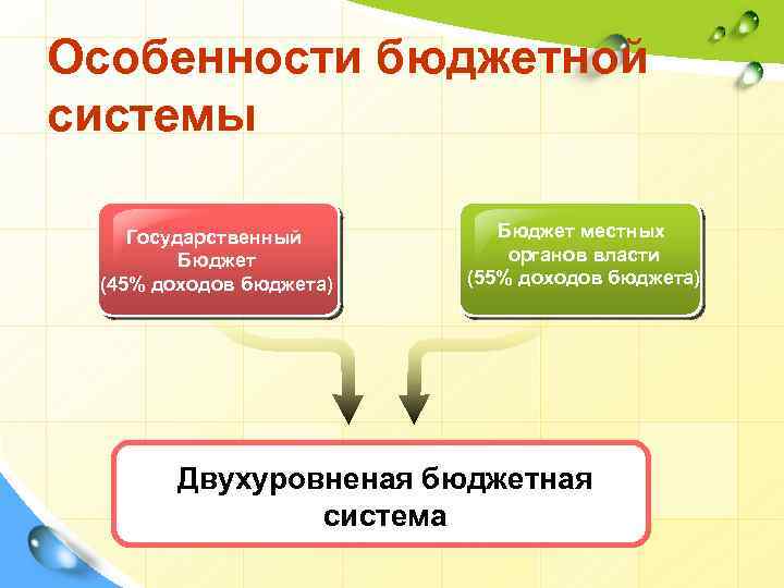 Особенности бюджетной системы Государственный Бюджет (45% доходов бюджета) Бюджет местных органов власти (55% доходов
