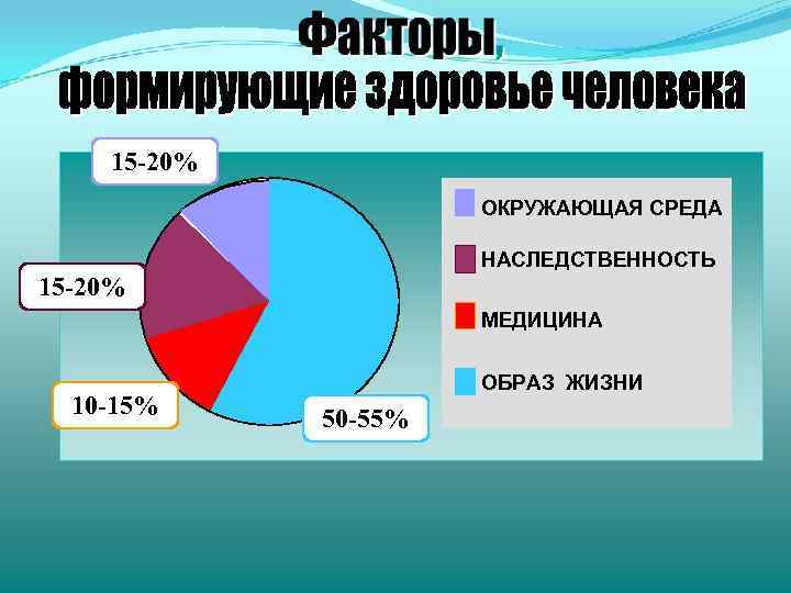 15 -20% ОКРУЖАЮЩАЯ СРЕДА НАСЛЕДСТВЕННОСТЬ 15 -20% МЕДИЦИНА 10 -15% ОБРАЗ ЖИЗНИ 50 -55%