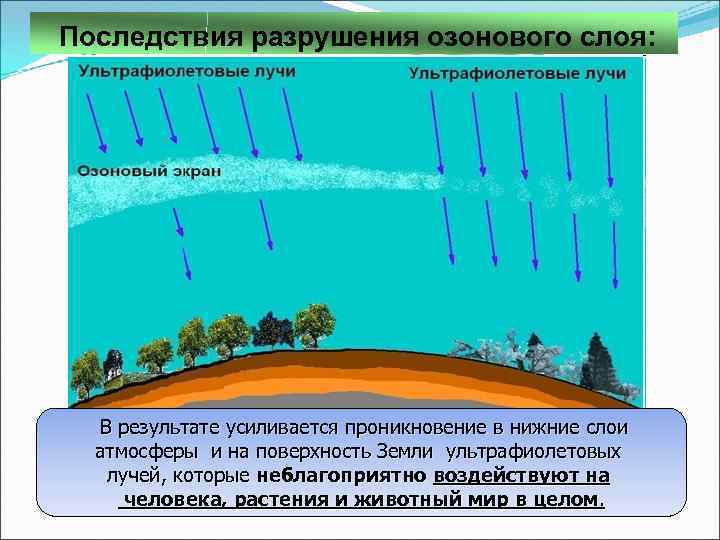  Последствия разрушения озонового слоя: В результате усиливается проникновение в нижние слои атмосферы и