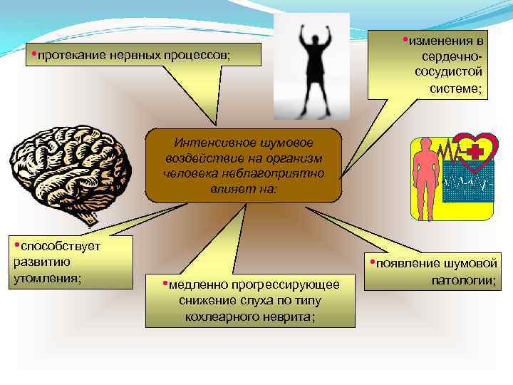  протекание нервных процессов; изменения в сердечнососудистой системе; Интенсивное шумовое воздействие на организм человека