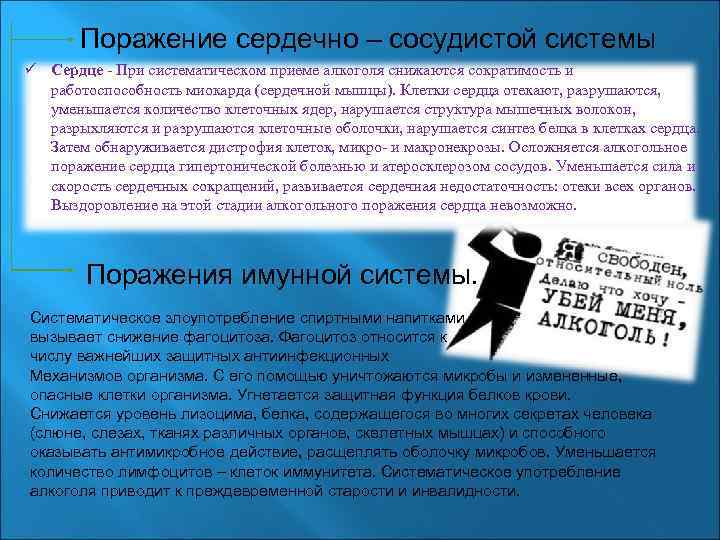 Поражение сердечно – сосудистой системы ü Сердце - При систематическом приеме алкоголя снижаются сократимость