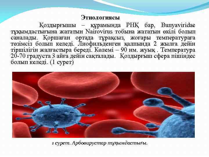 Этиологиясы Қоздырғышы – құрамында РНҚ бар, Bunyaviridae тұқымдастығына жататын Nairovirus тобына жататын өкілі болып