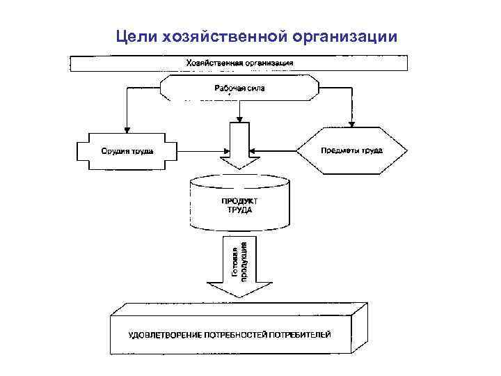 Цели хозяйственной организации 