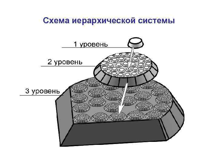 Схема иерархической системы 