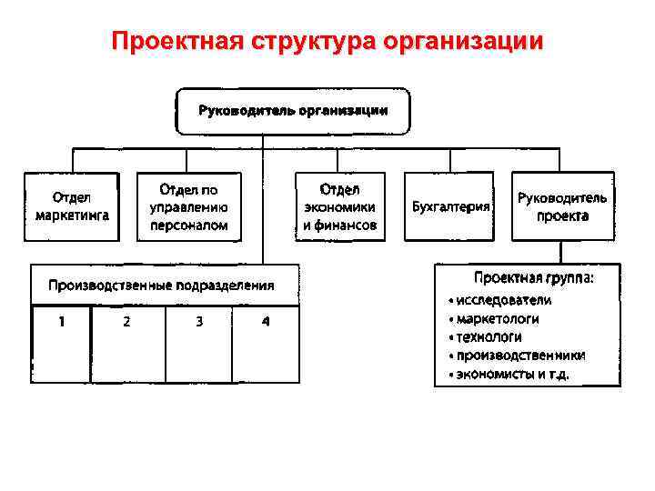 Проектная структура организации 