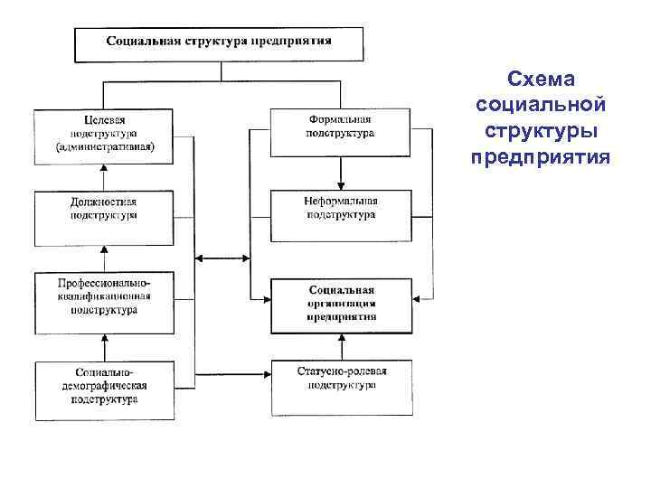 Схема социальной структуры предприятия 