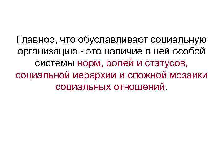 Главное, что обуславливает социальную организацию - это наличие в ней особой системы норм, ролей