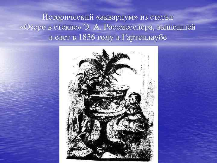 Исторический «аквариум» из статьи «Озеро в стекле» Э. А. Россмесслера, вышедшей в свет в