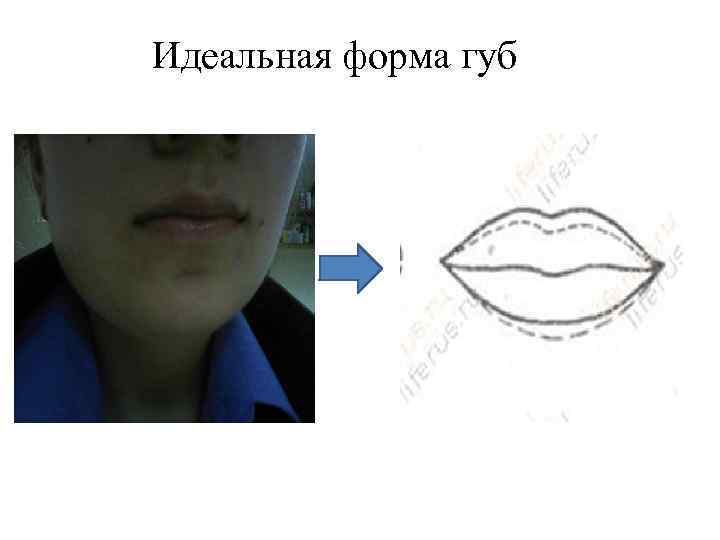 Идеальная форма губ 