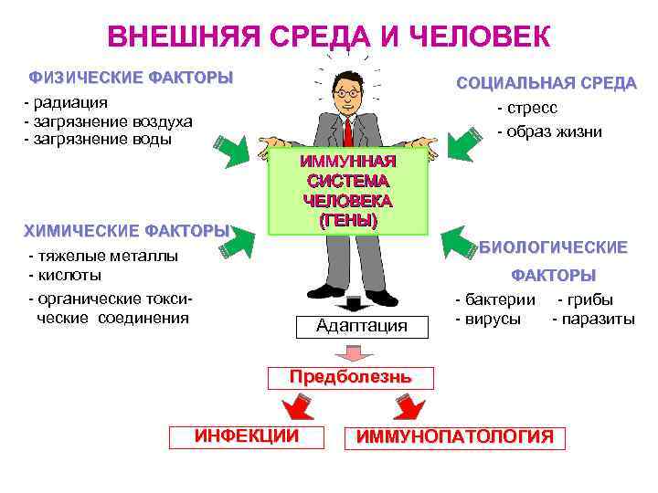 Человек организм человек личность. Влияние внешней среды на организм человека. Внешняя среда и ее воздействие на организм человека. Факторы внешней среды влияющие на организм человека. Влияние факторов внешней среды на человека.