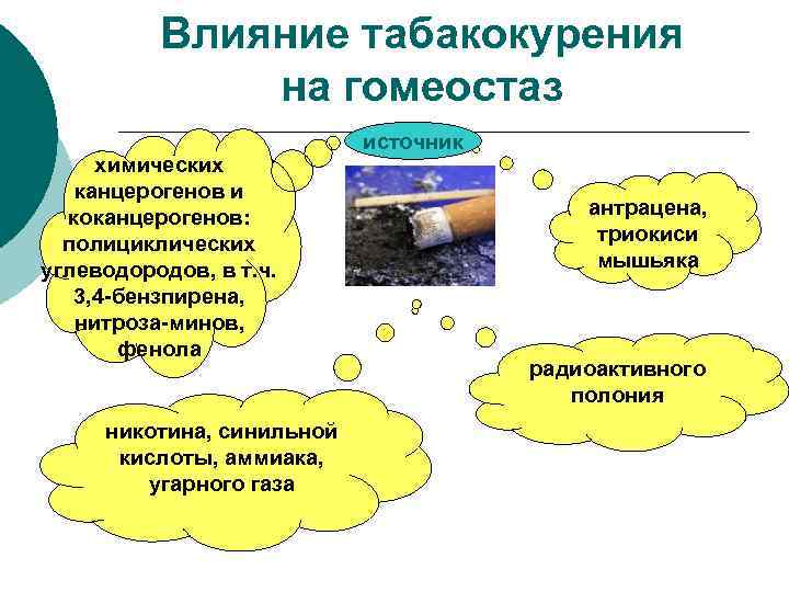 Влияние табакокурения на гомеостаз химических канцерогенов и коканцерогенов: полициклических углеводородов, в т. ч. 3,