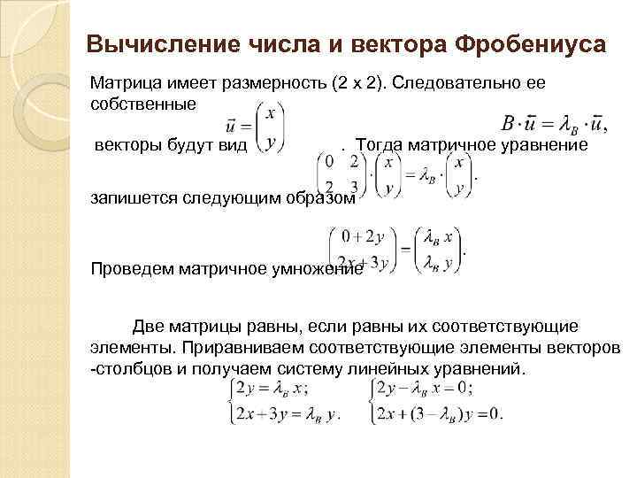 Вычисление числа и вектора Фробениуса Матрица имеет размерность (2 х 2). Следовательно ее собственные