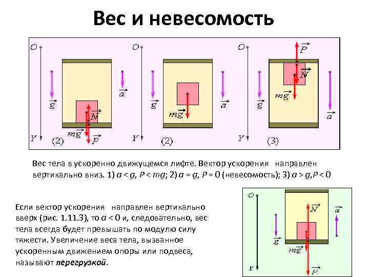 Вес и невесомость Вес тела в ускоренно движущемся лифте. Вектор ускорения направлен вертикально вниз.