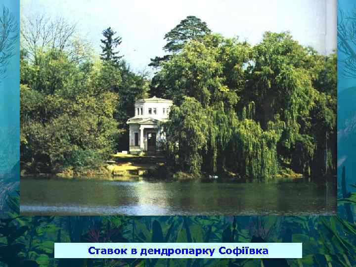 Ставок в дендропарку Софіївка 