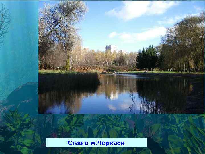 Став в м. Черкаси 