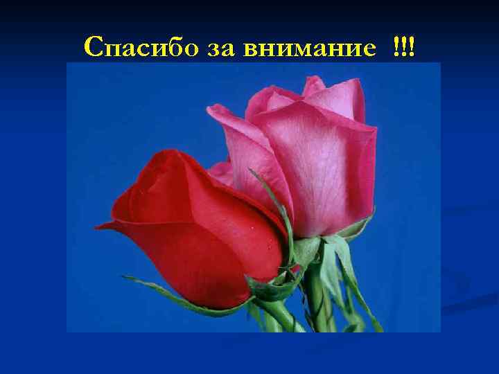 Спасибо за внимание !!! 