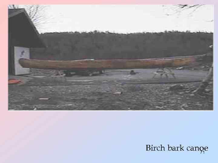 Birch bark canoe 71 