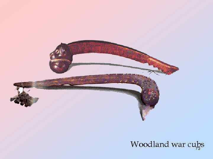 Woodland war cubs 73 